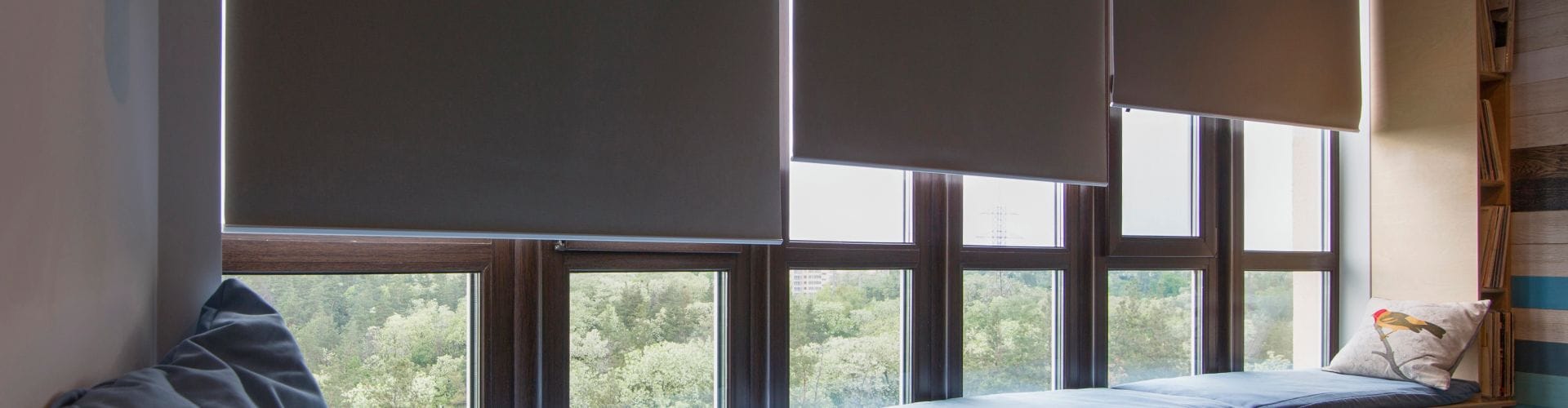 ShutterLuxe Background