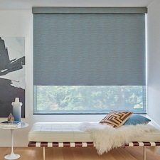 Roller Shades 49