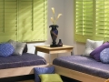 Shutters lite green