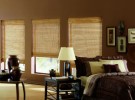 Woven Wood Shades in your sitting room
